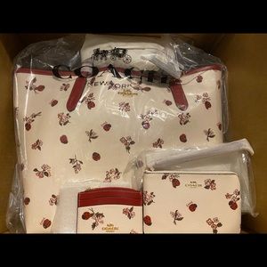 Coach Ladybug Coty tote , coin zip and wristlet brand new never used, rare